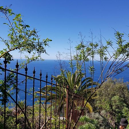 Villa Larnia De Tenerife Sauzal Bagian luar foto