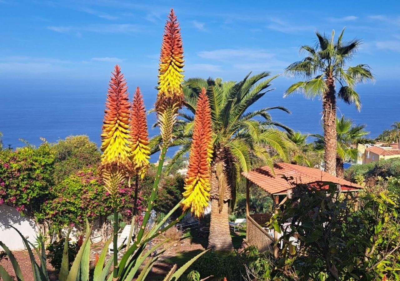 Villa Larnia De Tenerife Sauzal Bagian luar foto