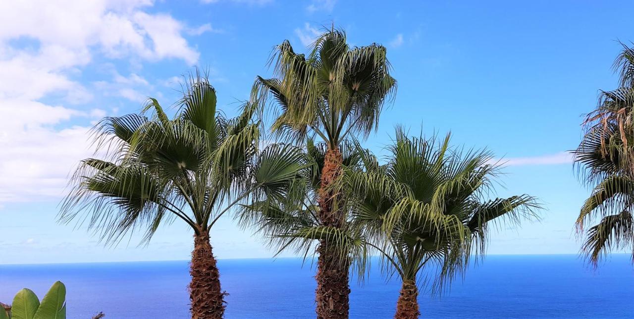 Villa Larnia De Tenerife Sauzal Bagian luar foto